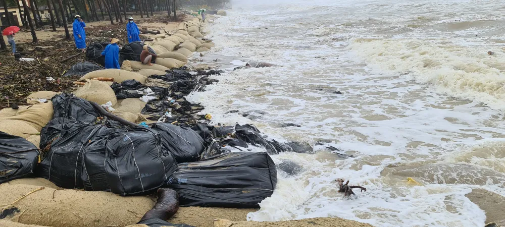 Hội An lo mất bờ biển Cửa Đại ảnh 5