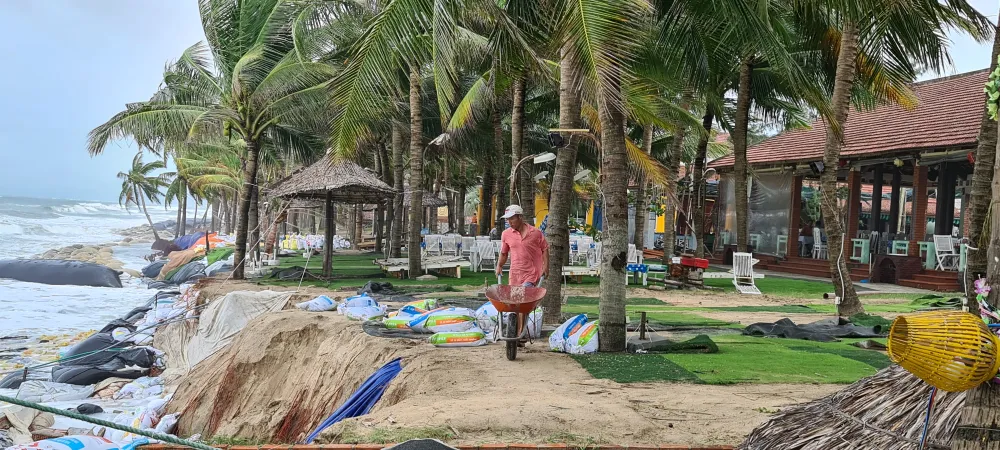 Hội An lo mất bờ biển Cửa Đại ảnh 2