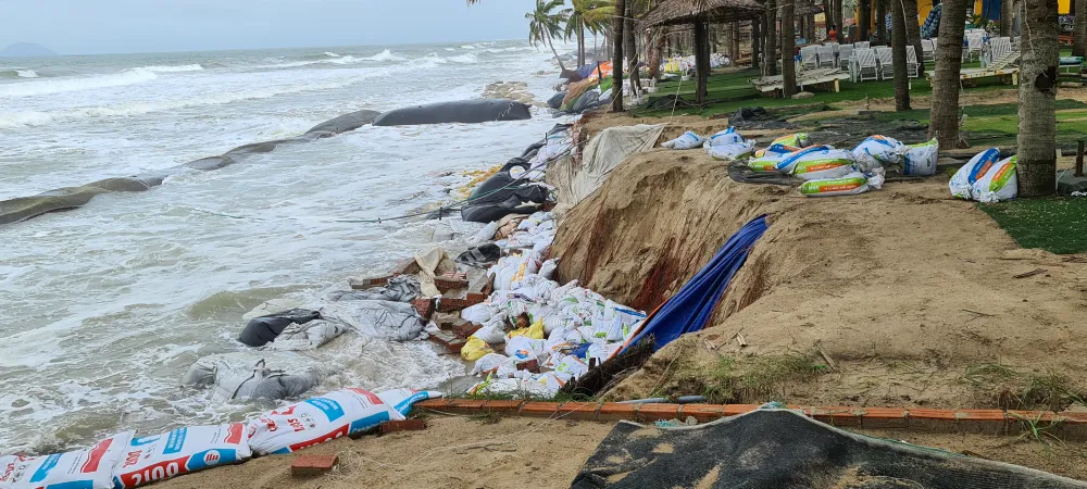 Hội An lo mất bờ biển Cửa Đại ảnh 11