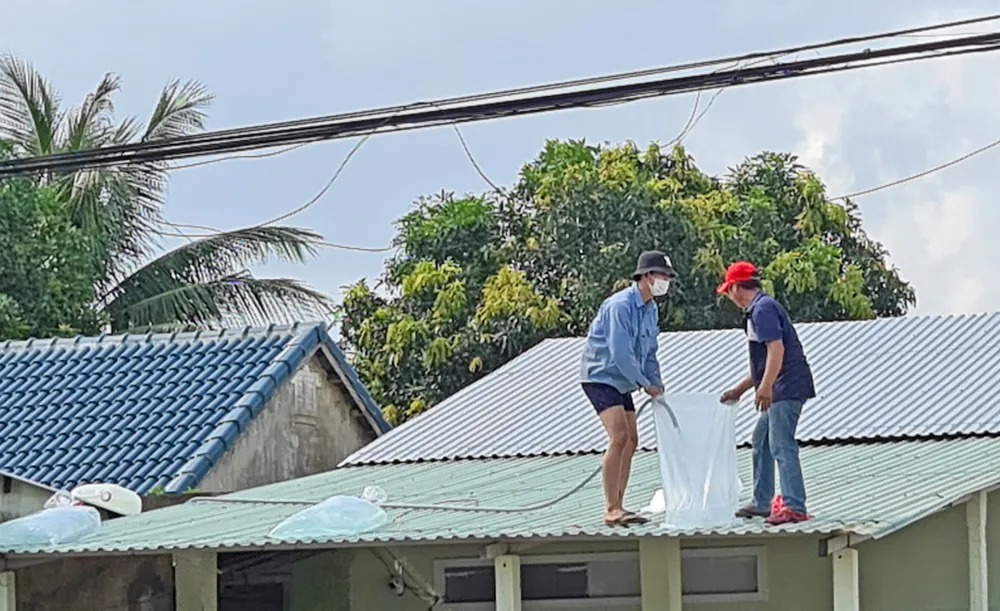 Phó Thủ tướng Trịnh Đình Dũng kiểm tra bờ biển Cửa Đại ảnh 3