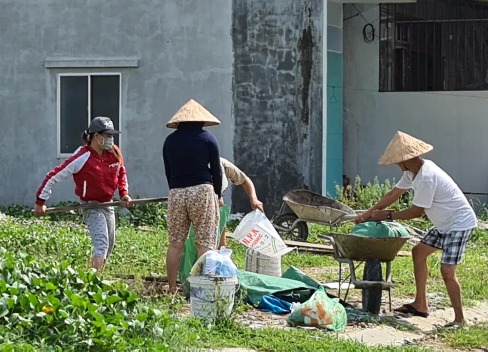 Phó Thủ tướng Trịnh Đình Dũng kiểm tra bờ biển Cửa Đại ảnh 2