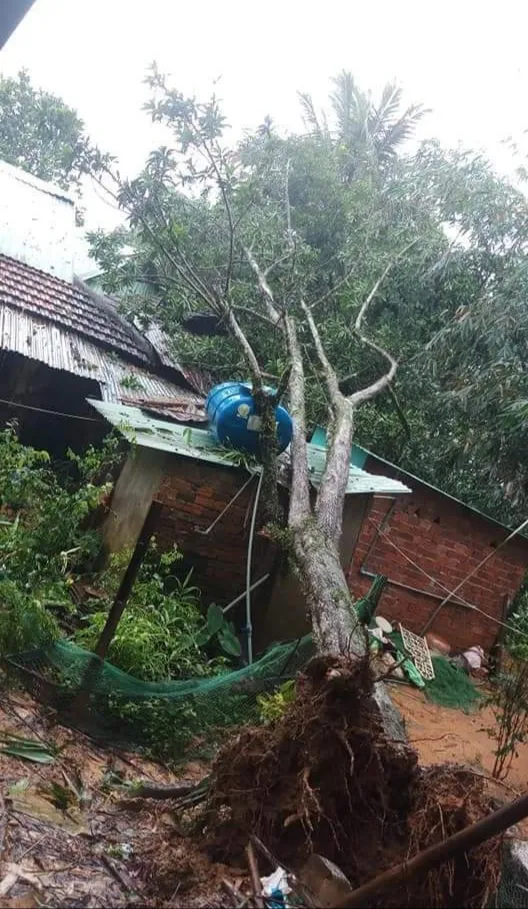 Quân khu 5 sẽ chăm lo cho trẻ xã Trà Leng bị mất cha mẹ do sạt lở ảnh 4