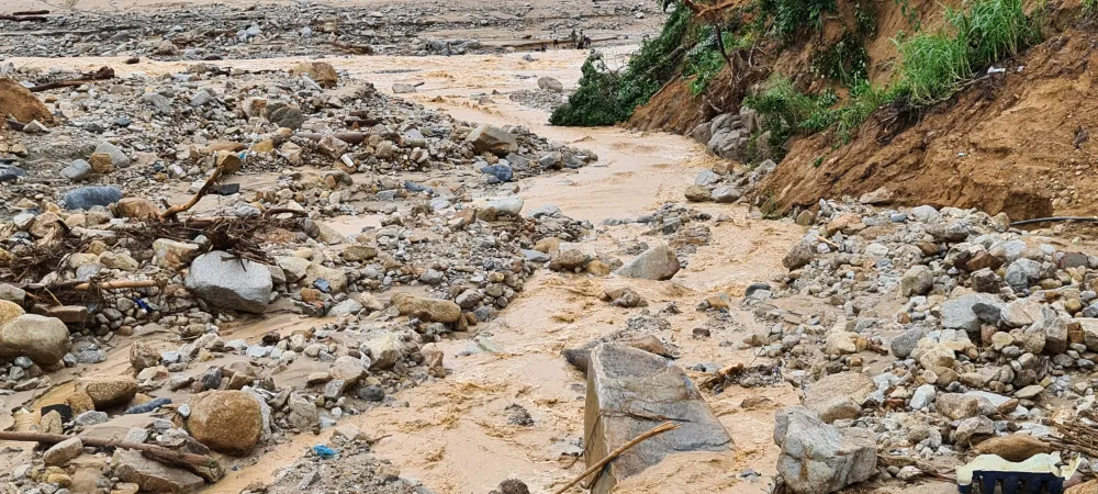 Tan hoang Phước Thành ảnh 7