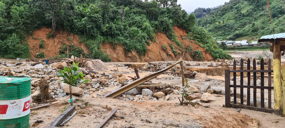 Tan hoang Phước Thành ảnh 11