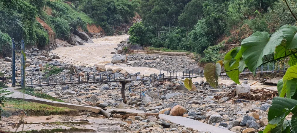 Tan hoang Phước Thành ảnh 13