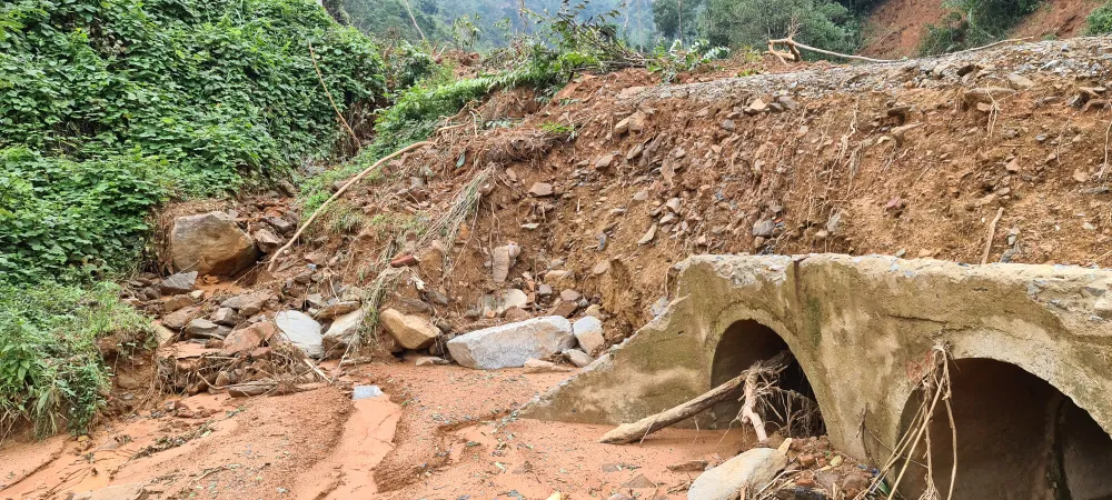 Tan hoang Phước Thành ảnh 18