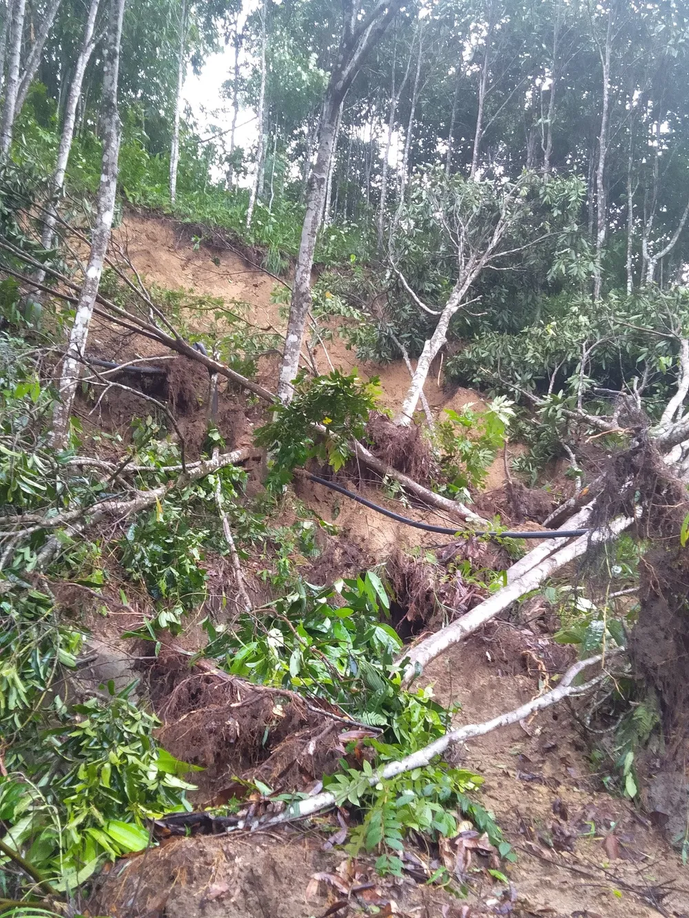 Ngân hàng Nhà nước hỗ trợ người dân bị ảnh hưởng bão lũ khu vực miền Trung và Tây Nguyên ảnh 3