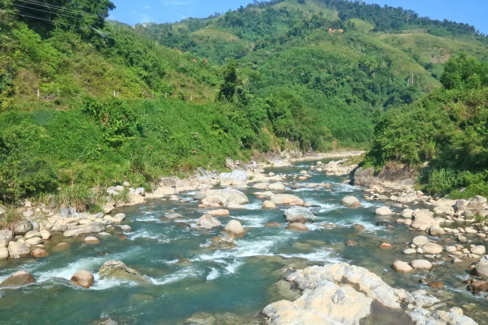 Rộn ràng phiên chợ sâm Ngọc Linh ảnh 10