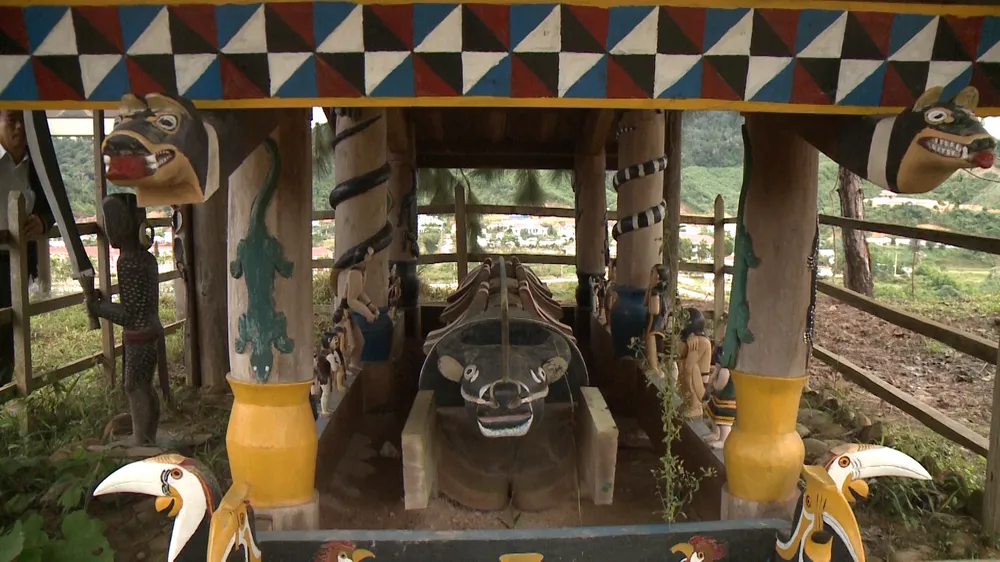 Con trâu trong đời sống văn hóa người Cơ Tu ảnh 3