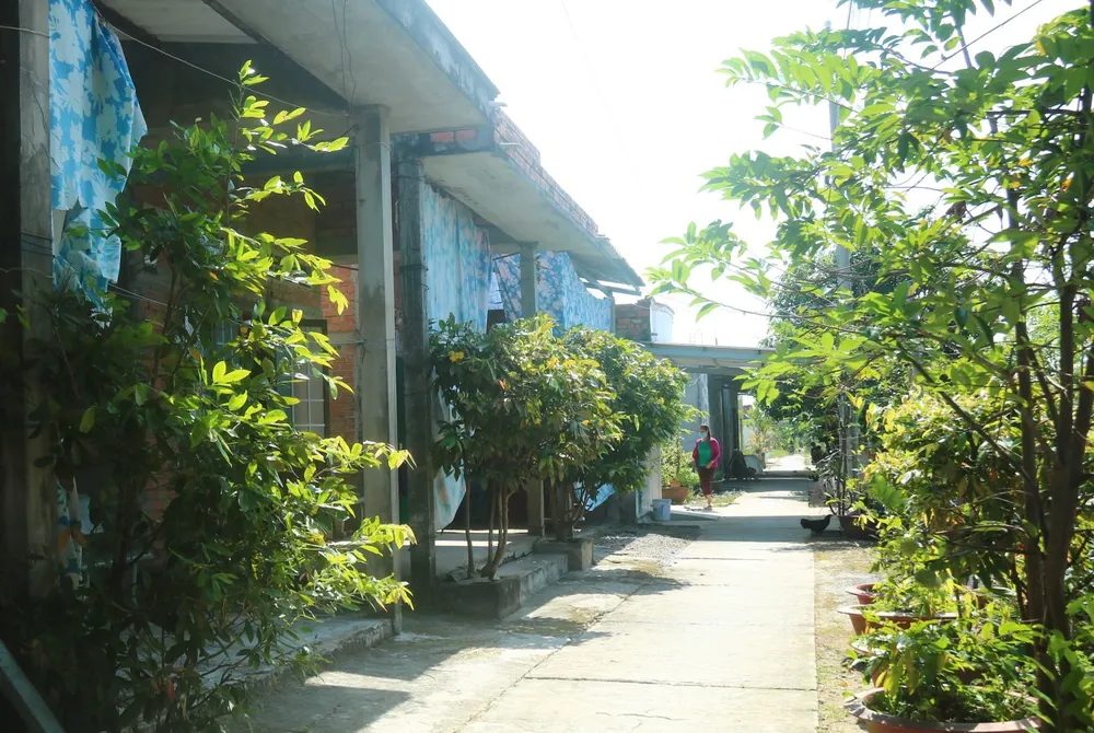 Sức sống ở làng Khmer vùng Đồng Tháp Mười ảnh 4