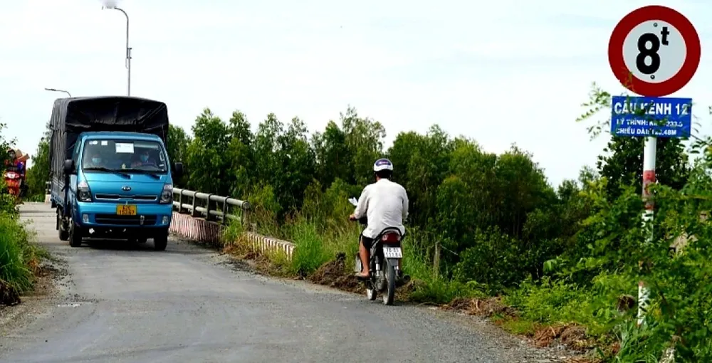 Xe quá tải băm nát đường tại Long An ảnh 3