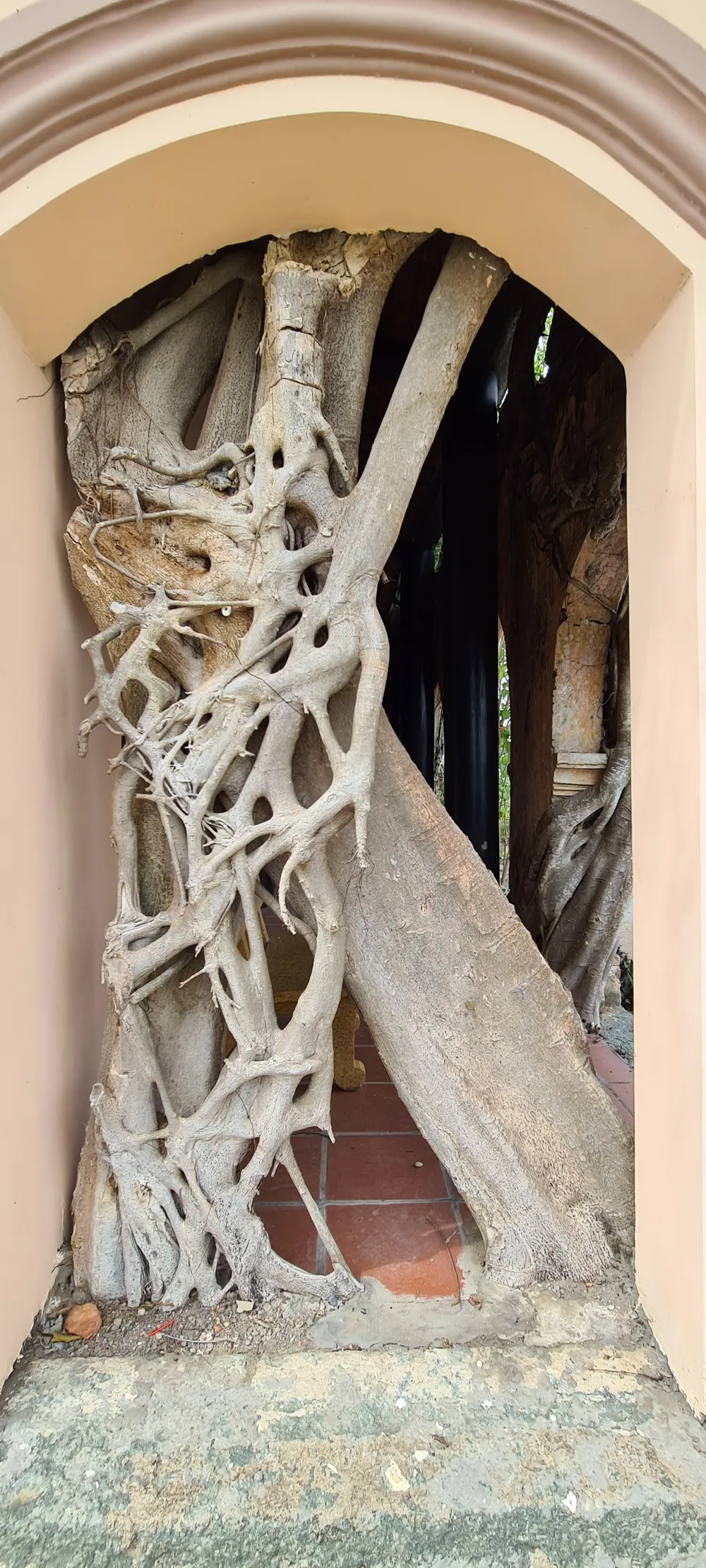 Ngôi đình trăm tuổi được ôm trọn và chống đỡ bởi hai gốc cây bồ đề to lớn ảnh 9