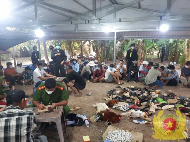 Triệt phá nhiều điểm tổ chức đá gà ăn thua bằng tiền ảnh 2