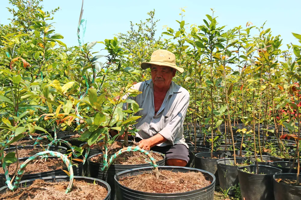 Làng tỷ phú giữa Đồng Tháp Mười ảnh 9