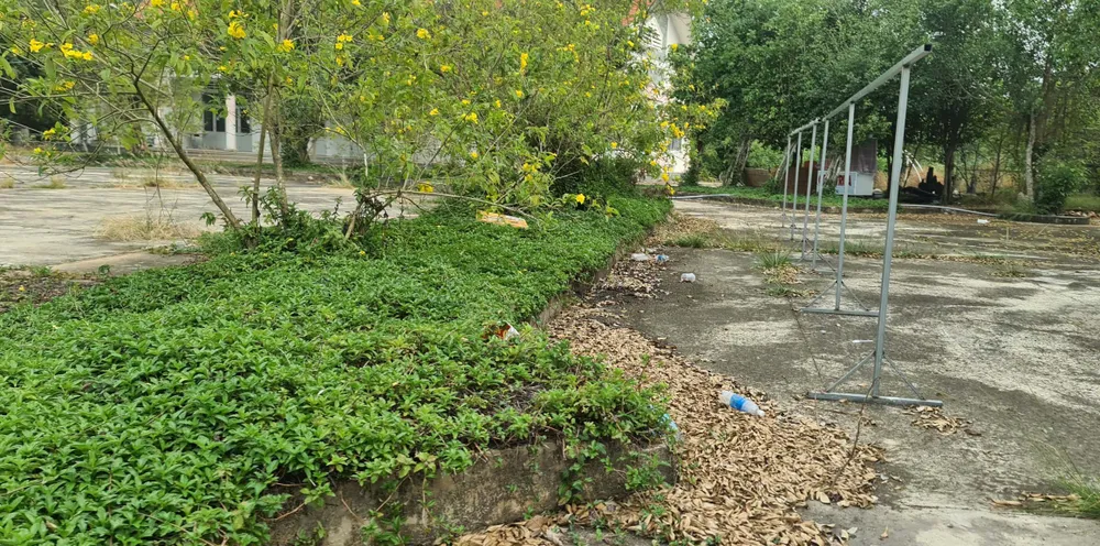 Lâm viên thanh niên hoang tàn, đầy rác thải y tế ảnh 7