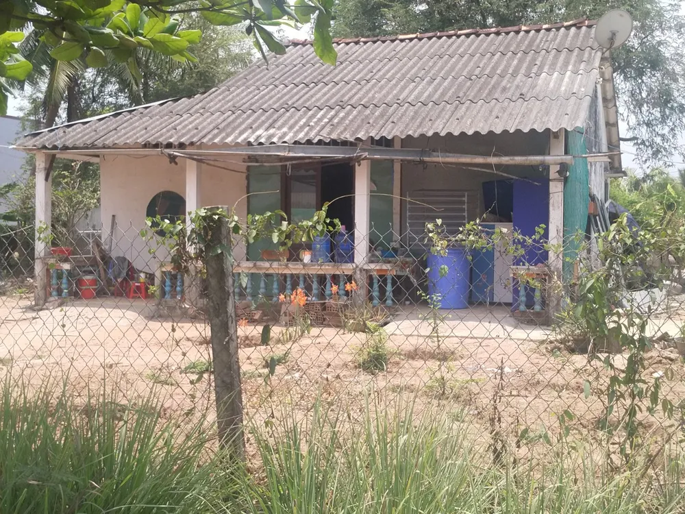 Kênh Chợ Gạo sạt lở uy hiếp cuộc sống người dân ảnh 3