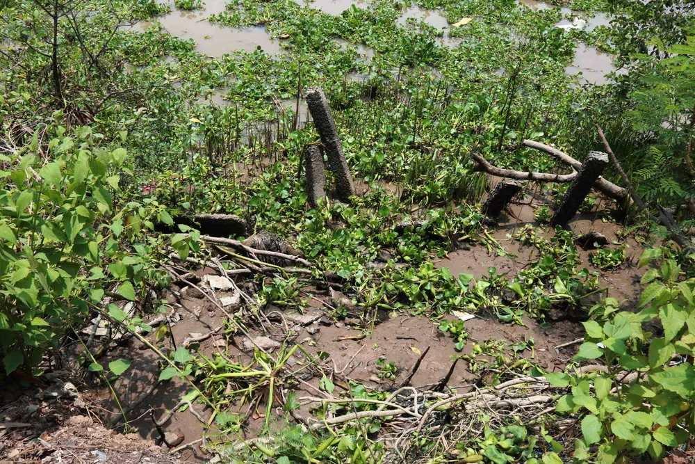 Kênh Chợ Gạo sạt lở uy hiếp cuộc sống người dân ảnh 11