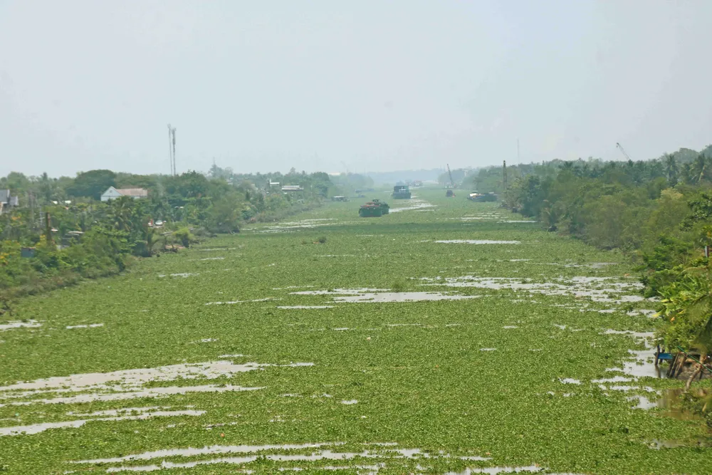 Kênh Chợ Gạo sạt lở uy hiếp cuộc sống người dân ảnh 15