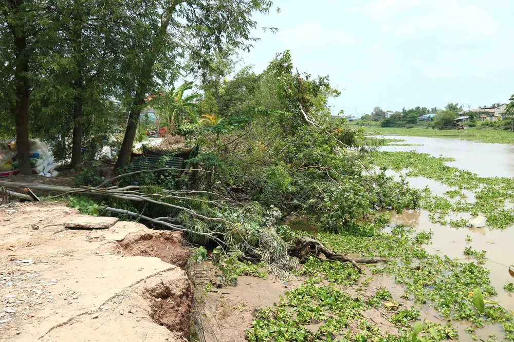 Kênh Chợ Gạo sạt lở uy hiếp cuộc sống người dân ảnh 9