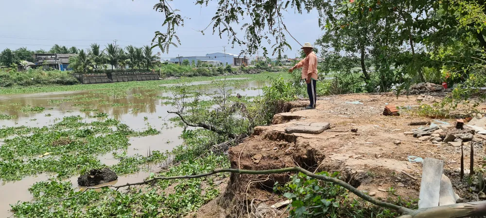 Kênh Chợ Gạo sạt lở uy hiếp cuộc sống người dân ảnh 13