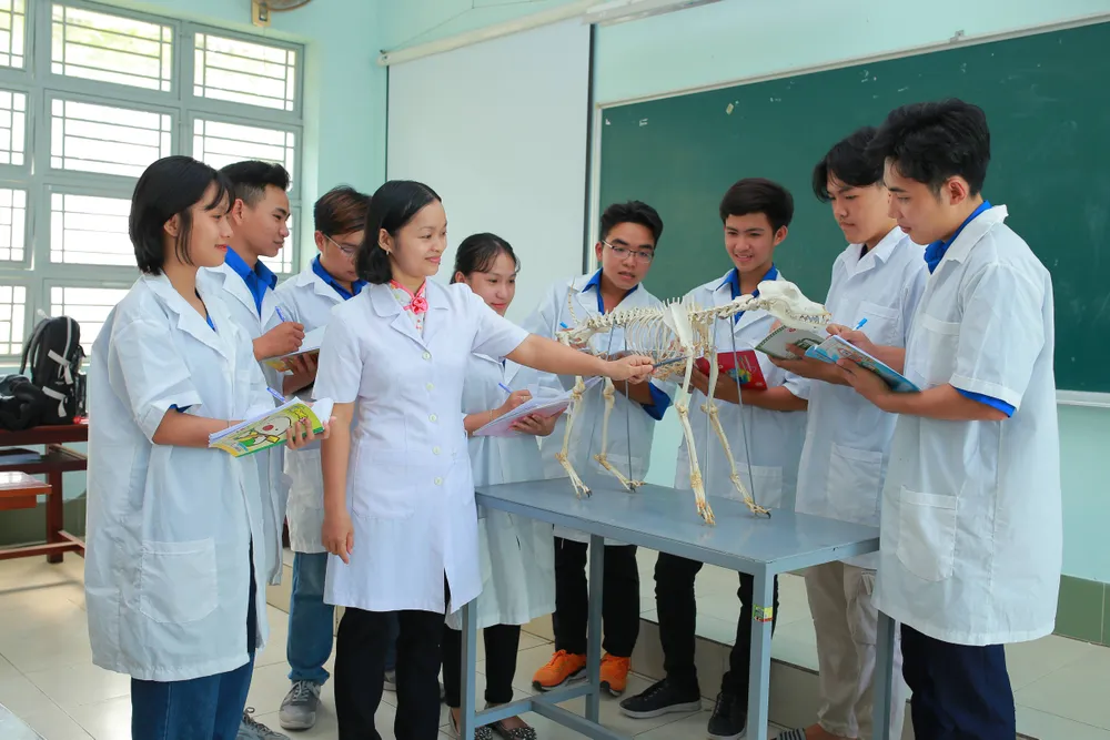 Phân luồng học sinh đến với trường nghề để chủ động nhân lực ảnh 2