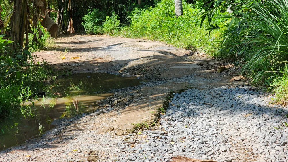 Tiền Giang: Hiến đất hơn 6 năm nhưng chưa làm đường ảnh 2