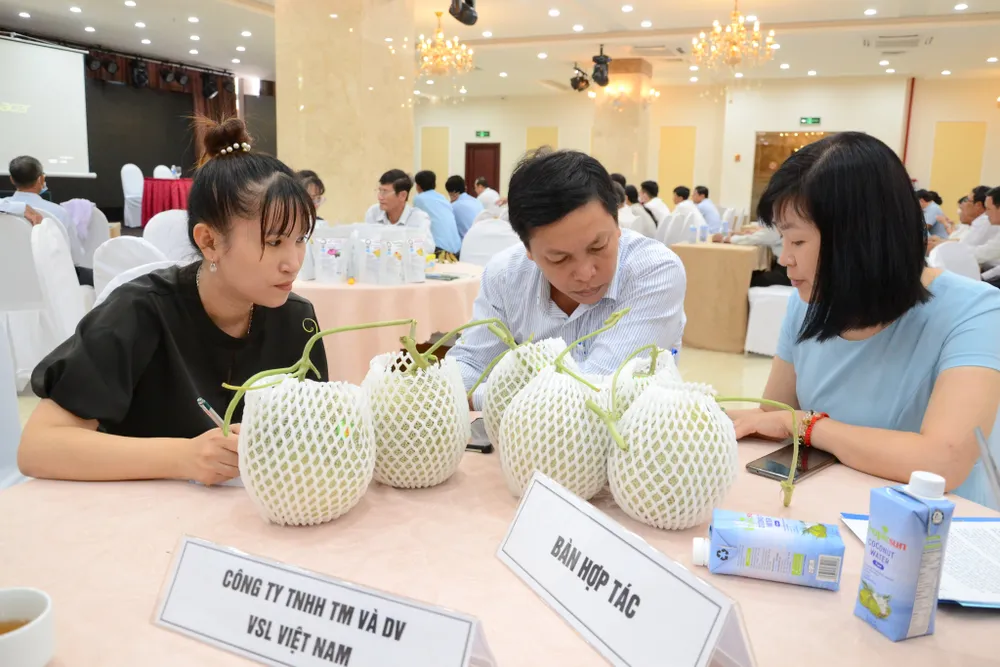 Kết nối cung cầu cho các HTX trên địa bàn tỉnh Tiền Giang ảnh 1