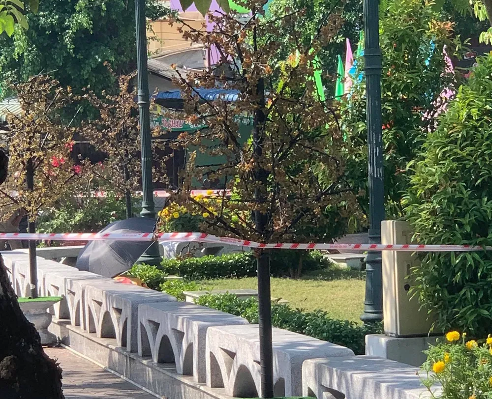 Hiện trường vụ việc