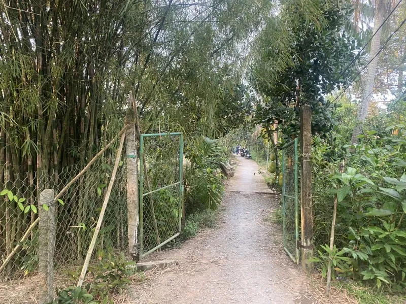 Đường vào nơi xảy ra vụ việc. Ảnh: HOÀI ANH