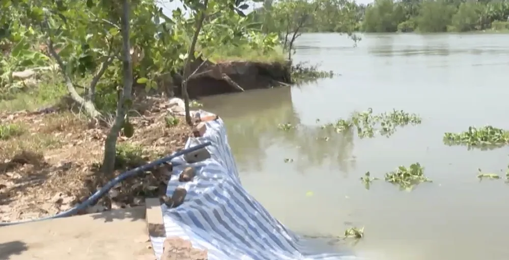 Không chỉ riêng hộ gia đình ông Tiến mà thời gian qua rất nhiều hộ dân sống ven sông Trà Lọt bị sạt lở mất hàng trăm mét đất