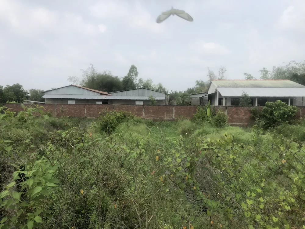 Trại chăn nuôi heo của ông Nguyễn Hữu Luận