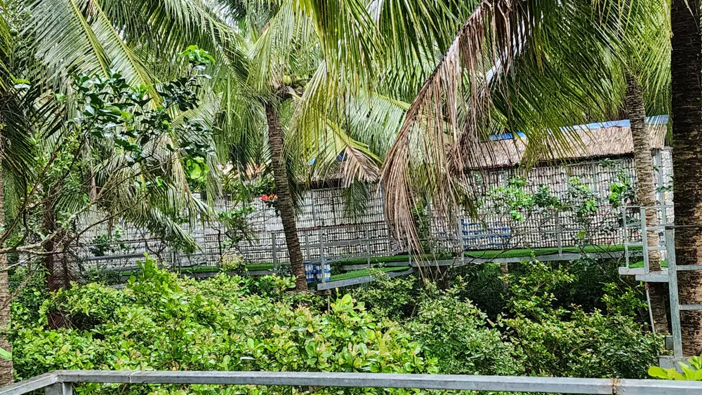 Vườn cây thuốc của ông Khanh