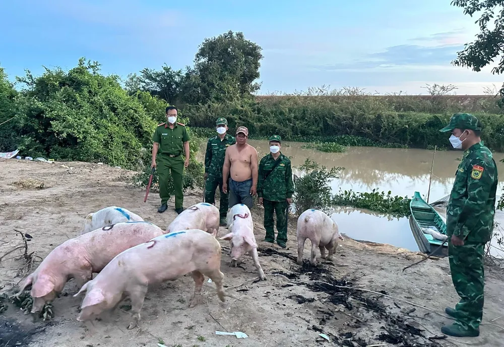 Hiện trường vụ việc Hiện trường vụ việc