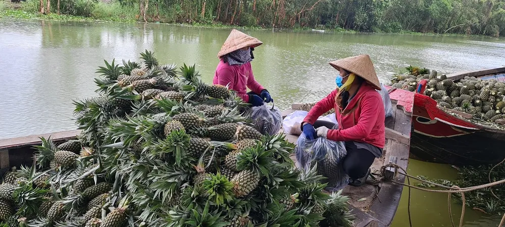 Người dân trao đổi thông tin khi làm khóm