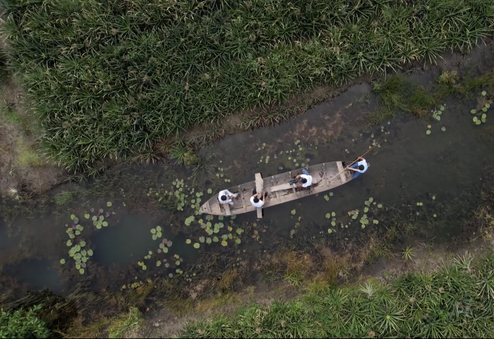 Mỗi hộ gia đình trồng khóm tại huyện Tân Phước sở hữu ít nhất vài hecta