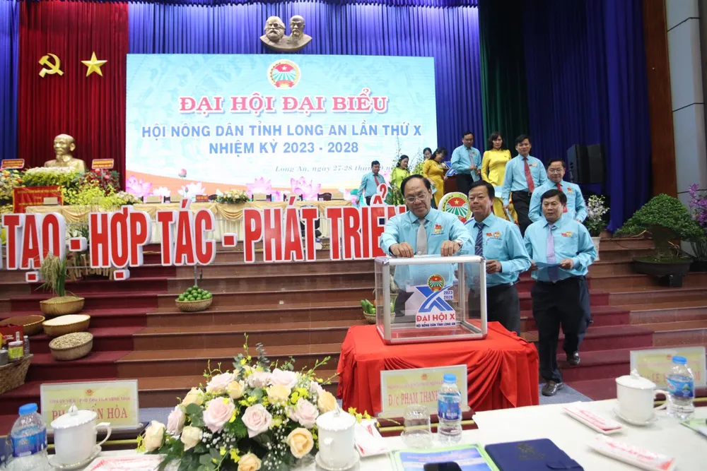 Các đại biểu bỏ phiếu