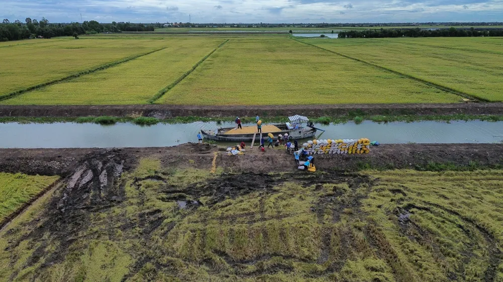 LUA BIEN GIOI 10.jpg