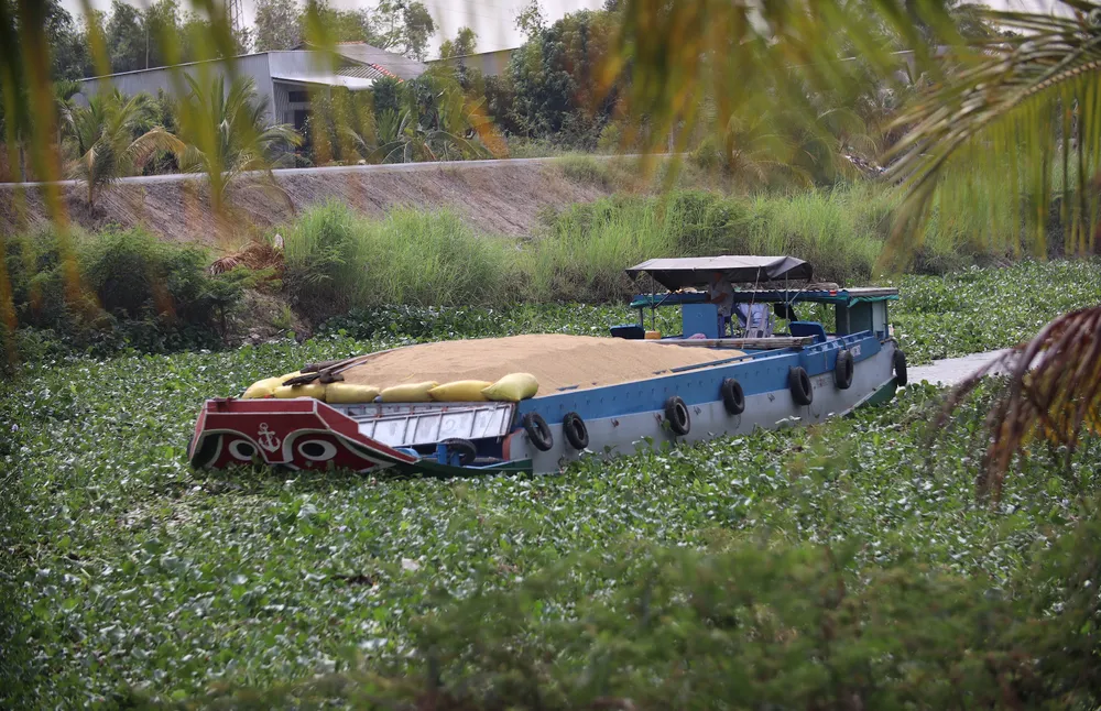 lua vinh hung. copy.jpg