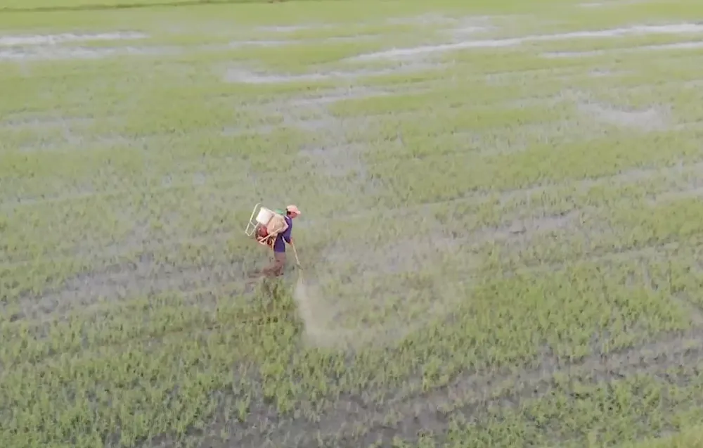 RUONG LUA- NONG NGHIEP10.png