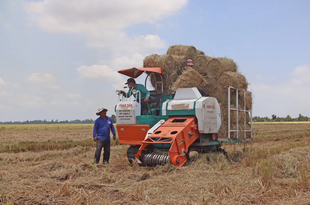 9. LUA - NGOC PHUC.jpg