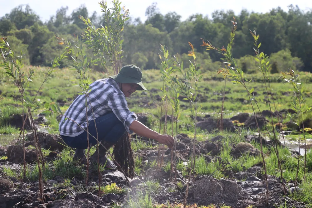 Hinh trong rung 4_anh Gian (1).JPG