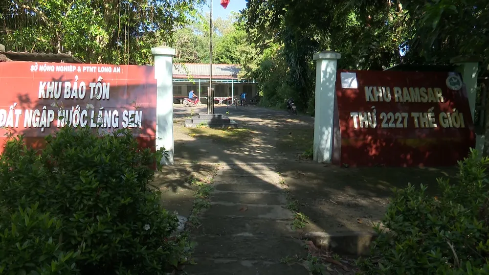 KHOI PHUC 17 HA RUNG KHU BAO TON DAT NGAP LANG SEN.00_00_11_15.Still008.jpg