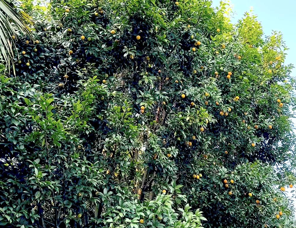 Ảnh màn hình 2025-01-27 lúc 12.39.38.png