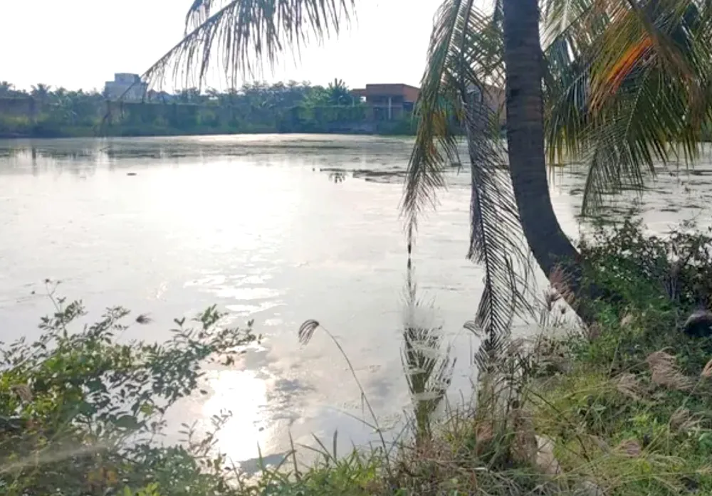 Ảnh màn hình 2025-02-05 lúc 18.52.11.png