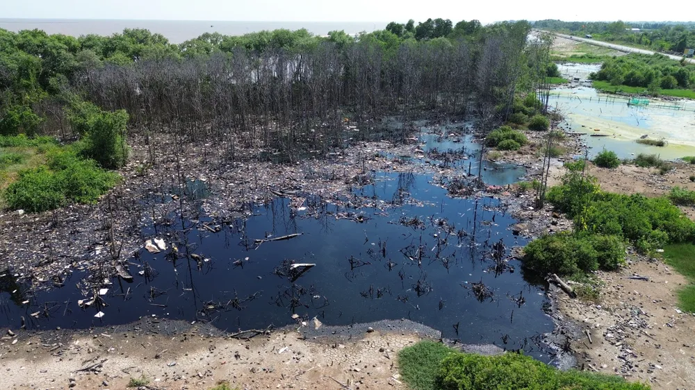 RAC BIEN GO CONG DONG4.jpg