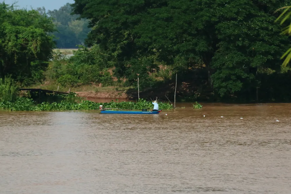 Người dân đánh bắt cá trên sông Sở Thượng