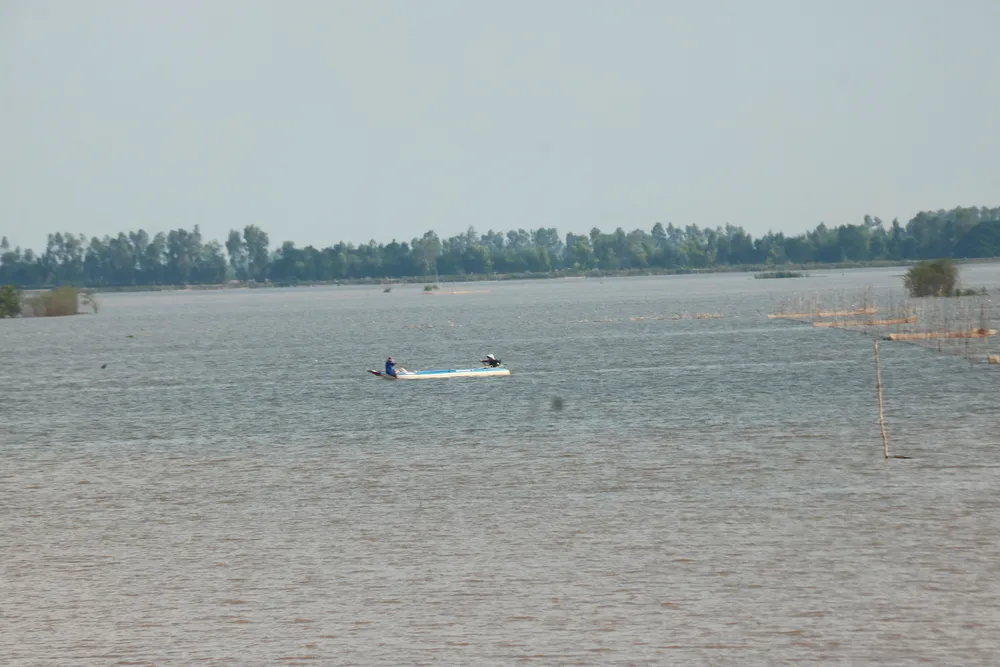 Thả lưới trên đồng Mương Dộp