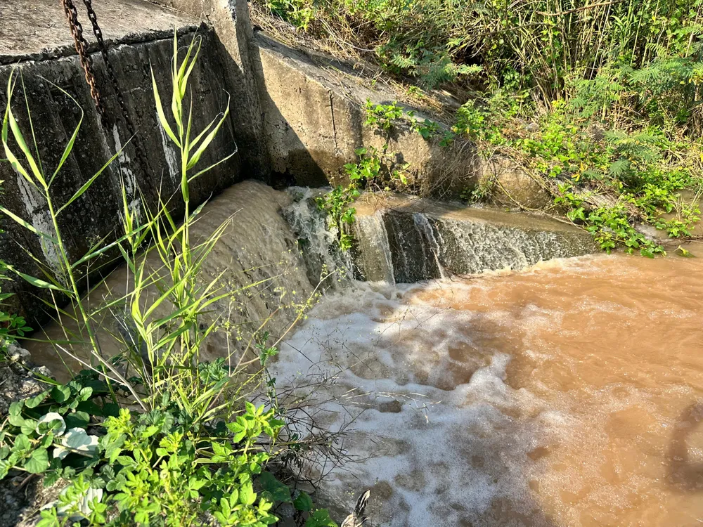 Cống Mương Dộp được mở cho nước vào đồng