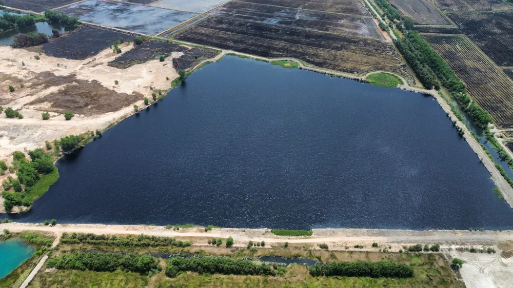 NUOC THAI TON DONG.jpg