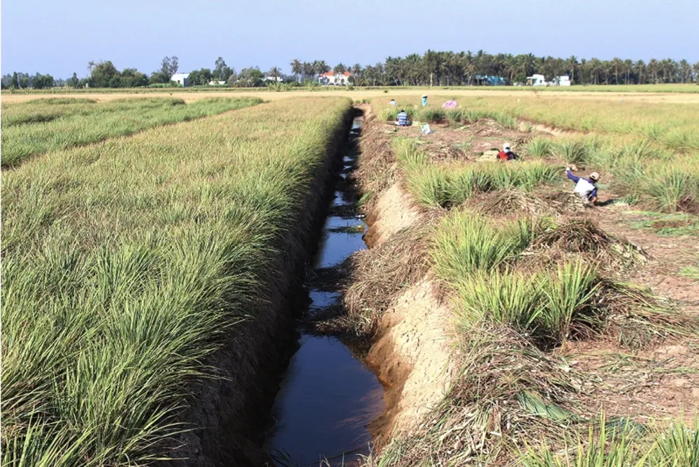 Ảnh màn hình 2024-10-15 lúc 10.02.43.png